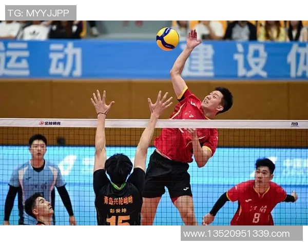 排球力量排行榜：南京排球队位居第2名